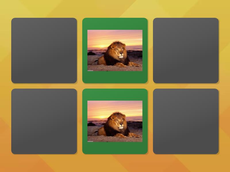 Memory animali matching pairs