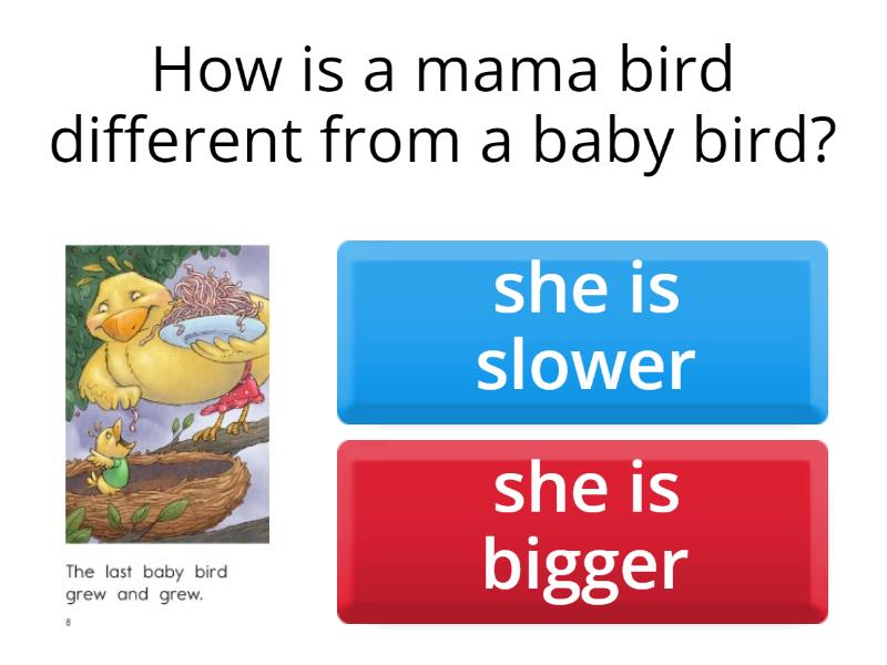 Three baby birds b vui