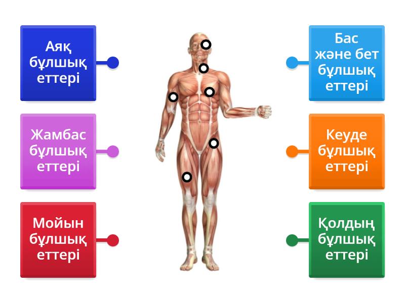 Жалаңаш маскүнем