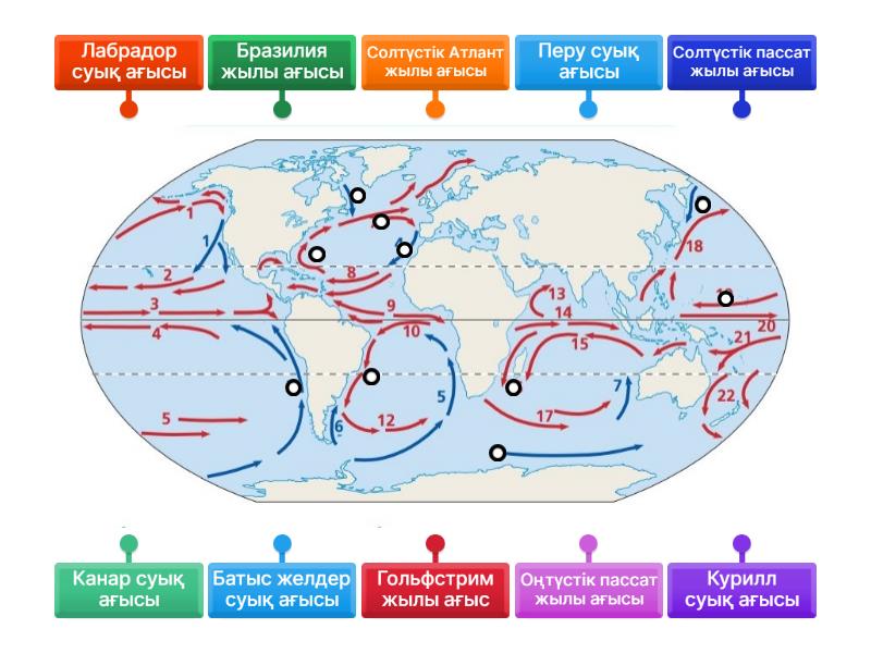 Автокөліктегі секс минет фотосы