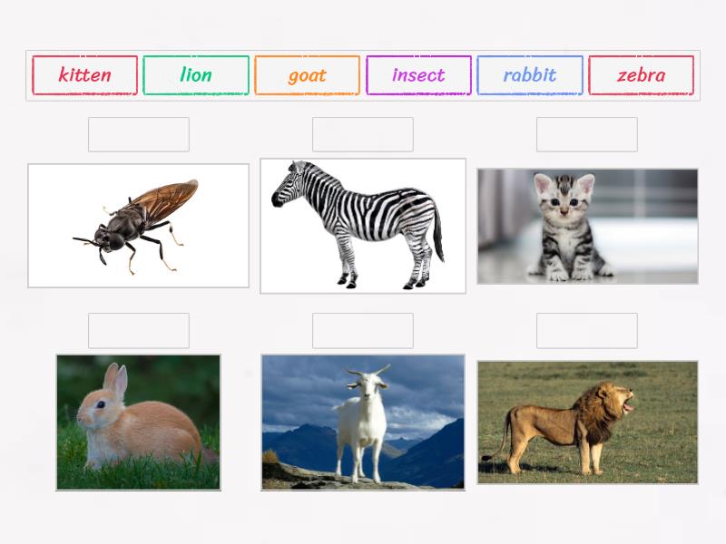 wordwall.net