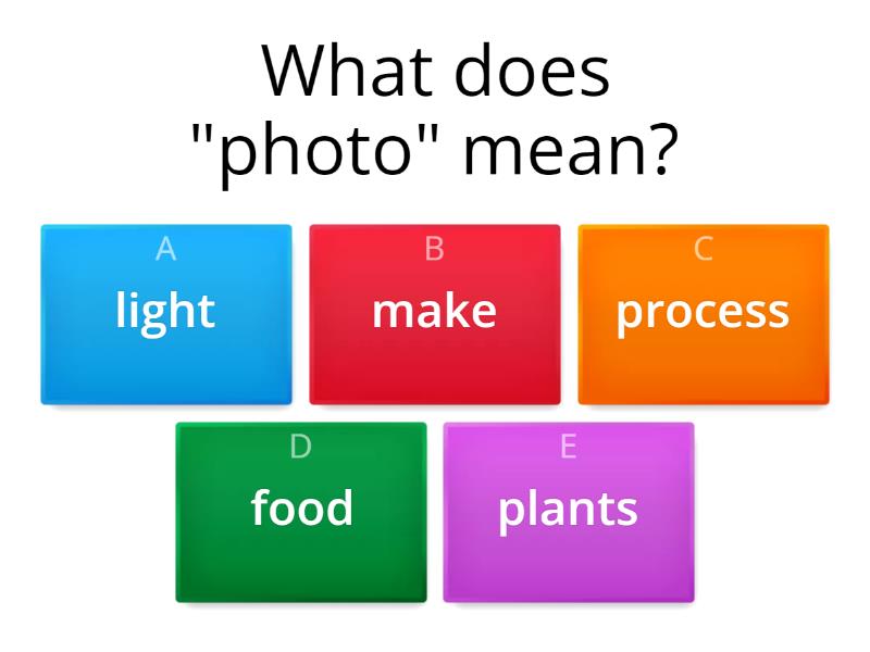 photosynthesis-quiz