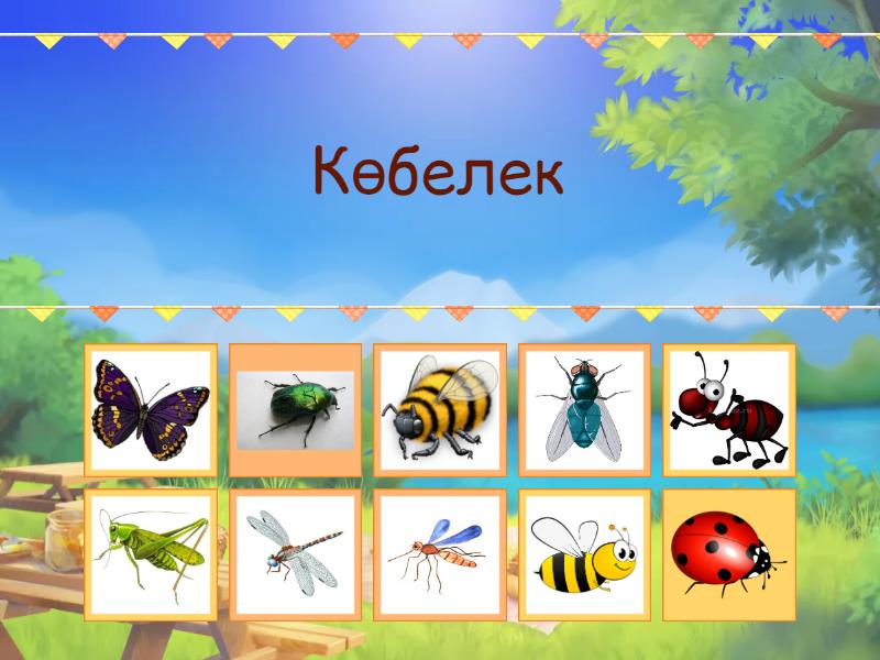 Буденновскінің жезөкшелері