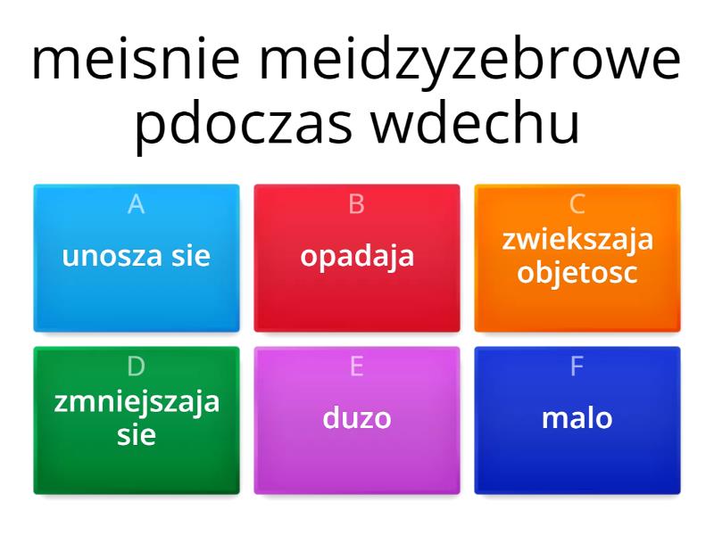 Test Układ Oddechowy I Wydalniczy BIOLOGIA KL 7 ODDECHOWY I WYDALNICZY - Test