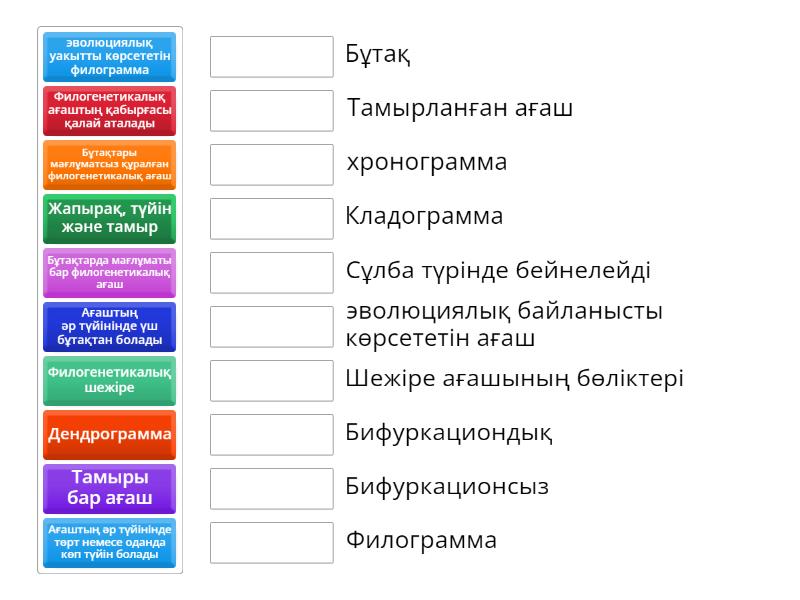 Әдемі аналардың порно видеолары
