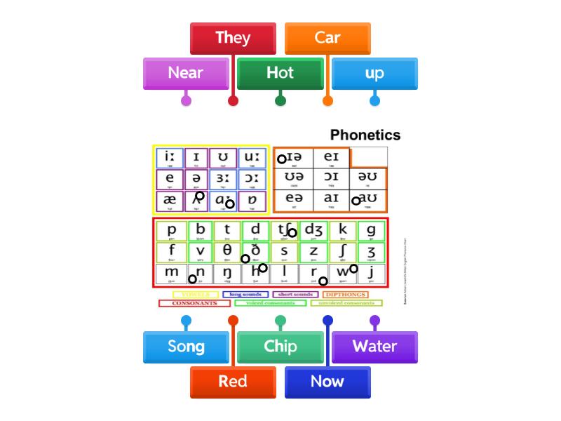 Phonetics consonants 3 - Labelled diagram