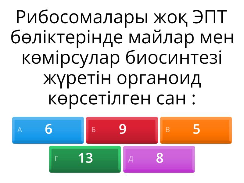 Әйелдер моншасының жасырын камерасы. Онлайн көру.
