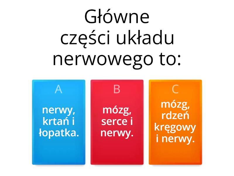 Układ Nerwowy Test Klasa 7 Układ nerwowy kontroluje pracę organizmu. - Test