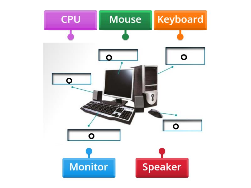 Label the computer parts. - Labelled diagram