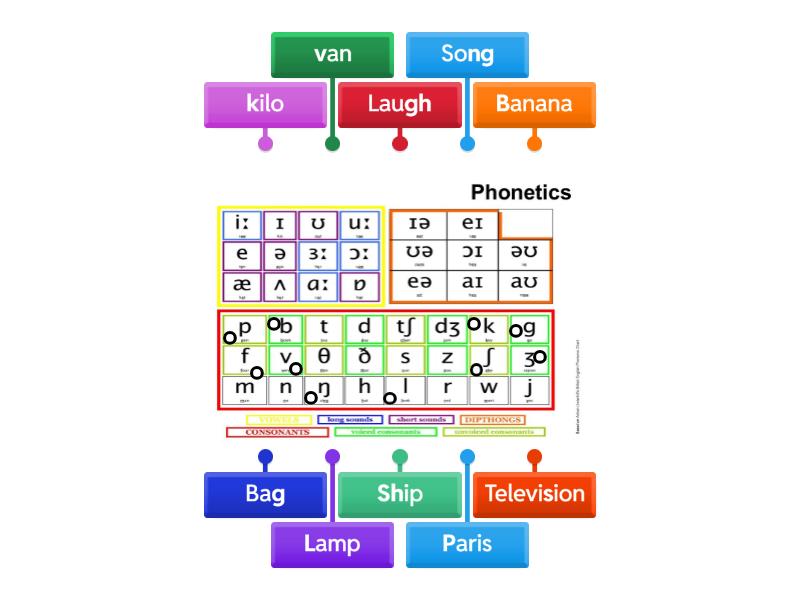 Phonetics consonants 1 - Labelled diagram