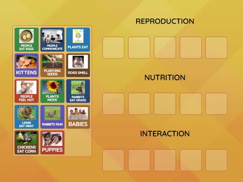 Vital Functions Of Living Things