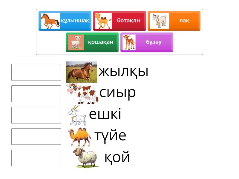 Порно саадет аксой