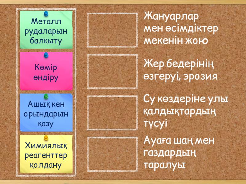 Кәрі әйелдердің мысықсыз фотосуреті