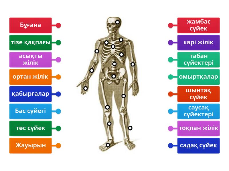 Бисексуалды мас порно