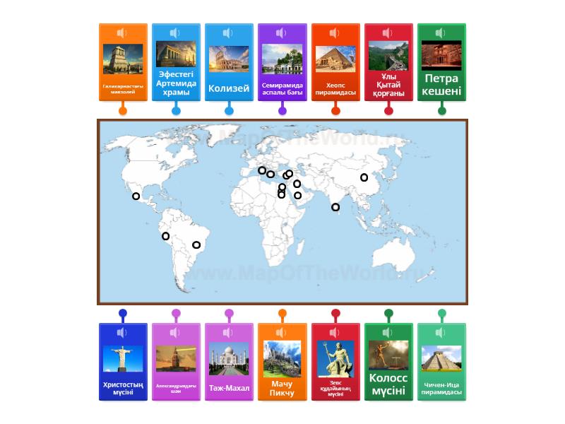 Анус бейнесіндегі мүшесі