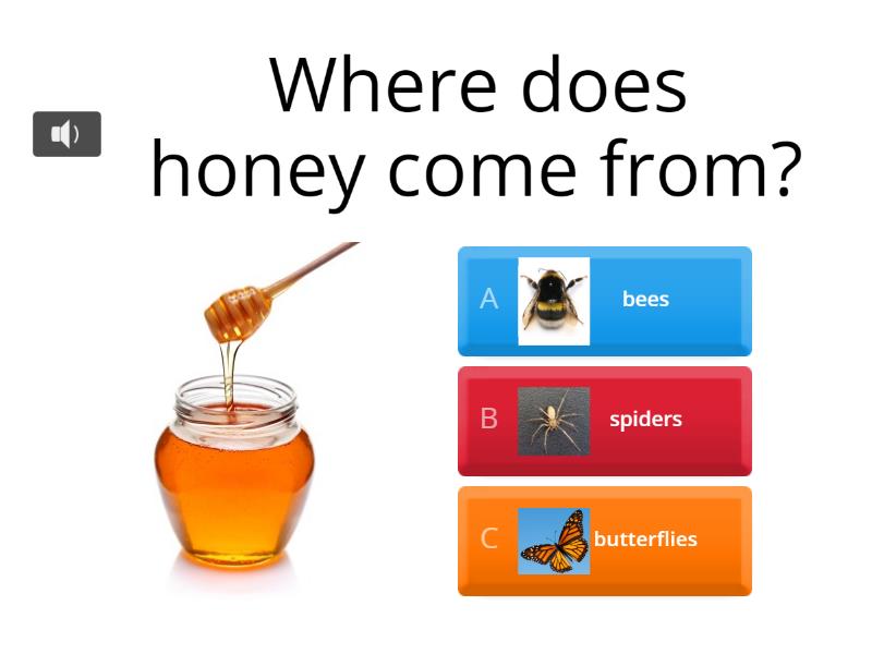 Where does our food come from quiz
