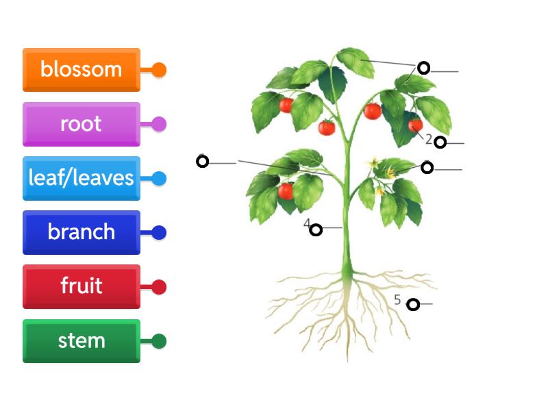 Outcomes UI unit 7c - Labelled diagram