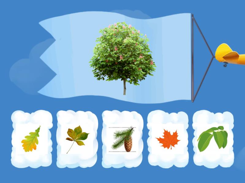 З якого числа ходить миколай