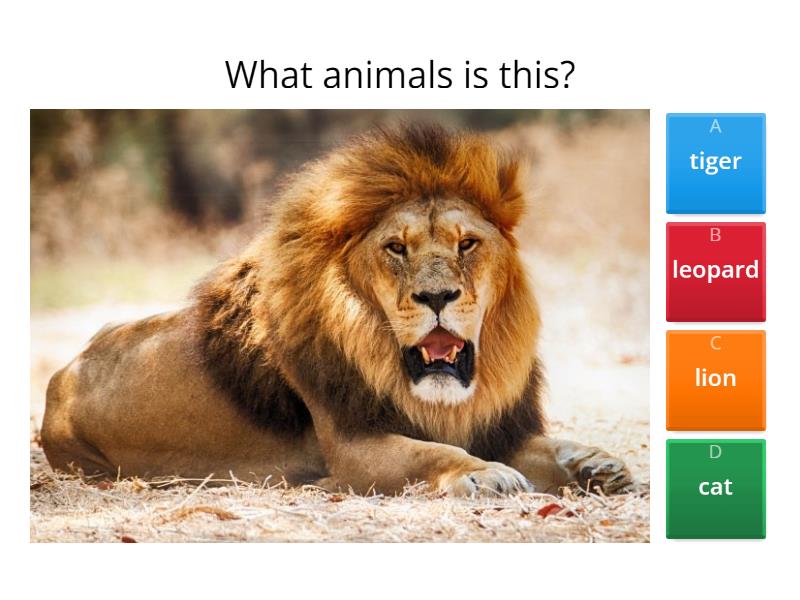 Review wild animals quiz