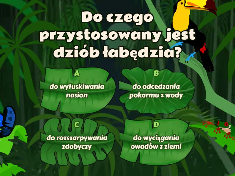 Test Z Biologii Klasa 6 Dzial 1 Test z biologii - kręgowce - klasa 6 - Quiz