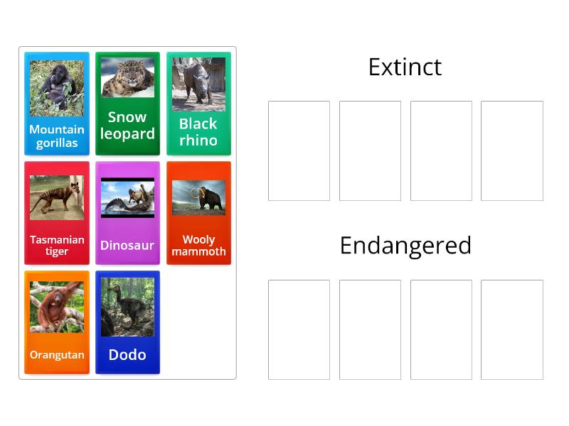 Y4 Endangered or extinct? - Групповая сортировка