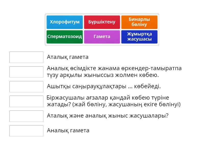 Порно әйел секс iF