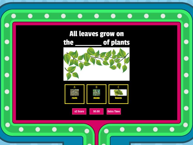 science-class-2-chapter-5-leaves-mcqs-gameshow-quiz