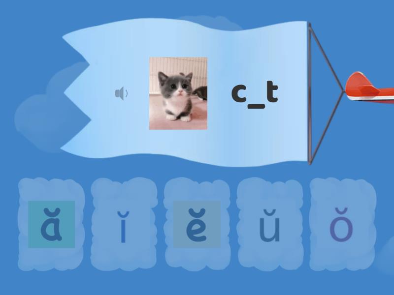 Short vowels reinforcement find the match