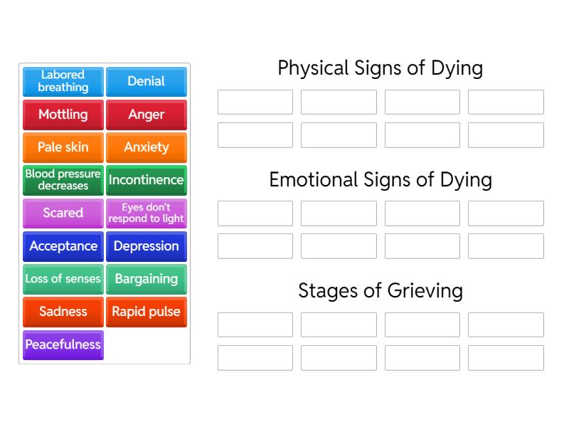 Physical Emotional Signs of Dying Stages of Grief Grup sıralaması