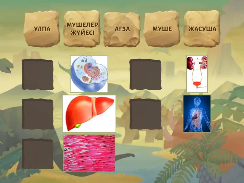 Үлкен, әдемі сиськи мен бөкселердің порнофотосуреттері