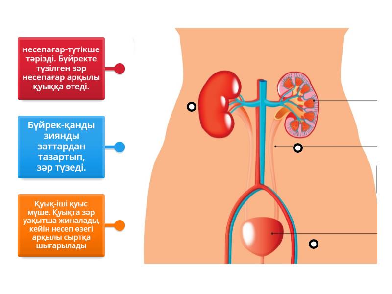 Темрюк секс