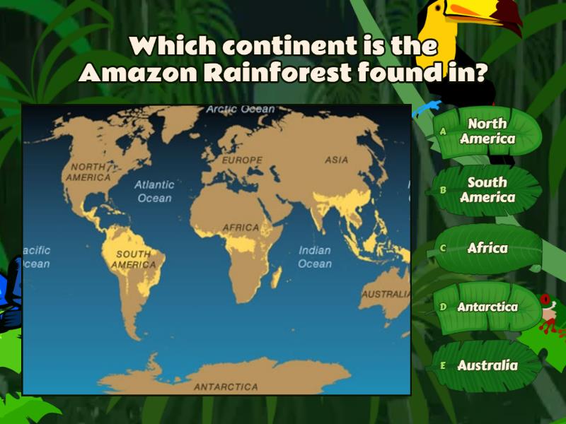 The amazon rainforest quiz
